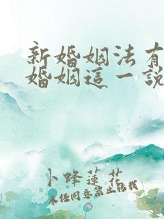 新婚姻法有事实婚姻这一说法吗