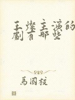 王灿主演的电视剧有哪些