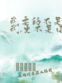 我要的不是你爱我,更不是你恨我是什么歌