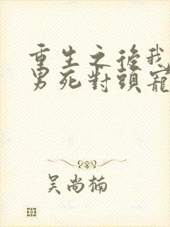 重生之后我被渣男死对头宠上天