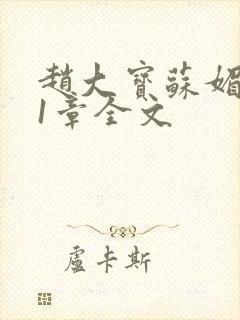 赵大宝苏媚第21章全文