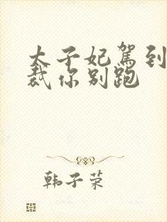 太子妃驾到 总裁你别跑