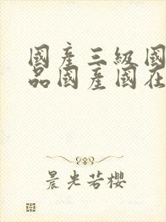 国产三级国产精品国产国在线观看