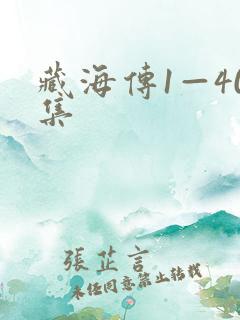 藏海传1—40集
