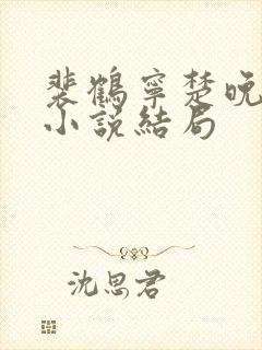 裴鹤宁楚晚沈渡小说结局