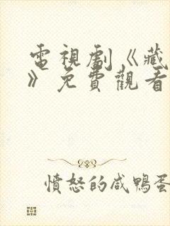 电视剧《藏海传》免费观看