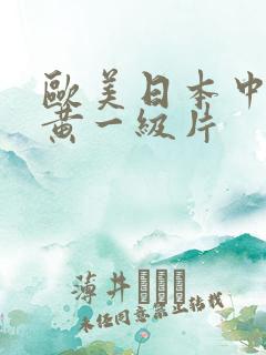 欧美日本中国特黄一级片