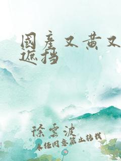 国产又黄又色无遮挡