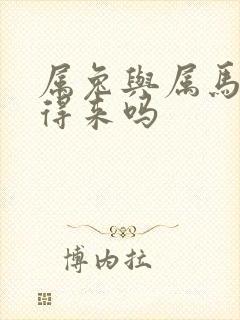 属兔与属马的合得来吗