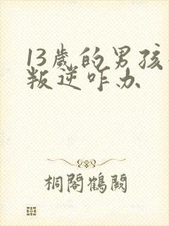 13岁的男孩子叛逆咋办