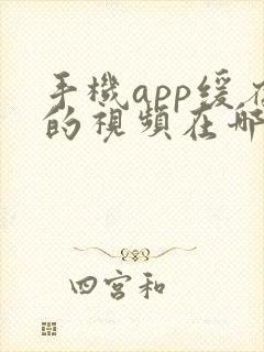 手机app缓存的视频在哪里能找到