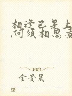 相逢已是上上签,何须相思煮余年意思