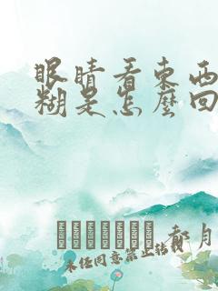 眼睛看东西有模糊是怎么回事