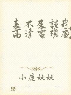 来不及说我爱你高清电视剧在线观看