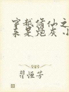 穿越修仙之我原来是炮灰 小说