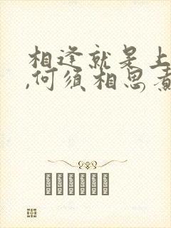 相逢就是上上签,何须相思煮余年