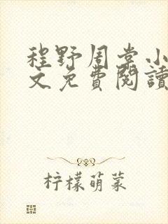 程野周棠小说全文免费阅读