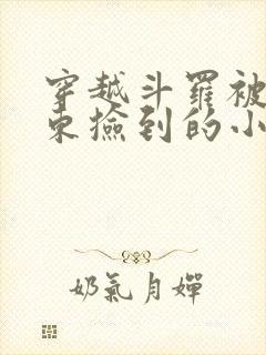 穿越斗罗被比比东捡到的小说