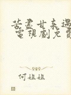 苦尽甘来遇见你 电视剧免费观看中文版