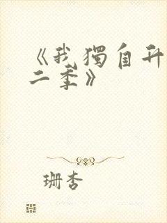 《我独自升级第二季》