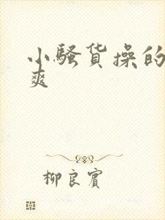 小骚货操的爽不爽