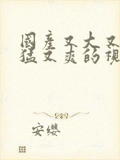 国产又大又黄又猛又爽的视频