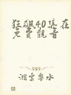 狂飙40集在线免费观看