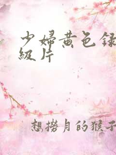 少妇黄色录像一级片