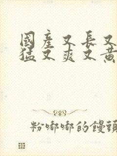 国产又长又粗又猛又爽又黄