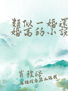 类似一婚还比一婚高的小说高干文