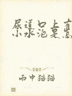 尿道口上有几个小水泡是怎么回事