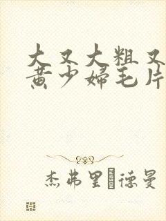 大又大粗又爽又黄少妇毛片口