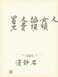 男人插女人下体免费视频