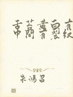 舌苔黄白有齿痕中间有裂纹吃什么药