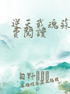 逆天武魂苏莫免费阅读