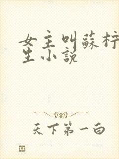 女主叫苏柠的重生小说