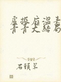 卢振庭温素素傅青青大结局