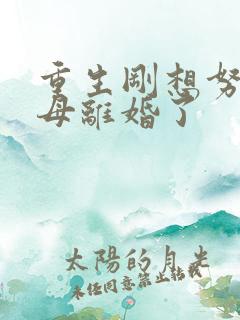 重生刚想努力父母离婚了