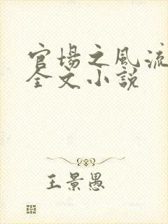 官场之风流医少全文小说