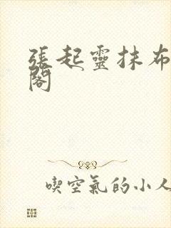 张起灵抹布笔趣阁