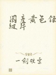 国产黄色录像一级片