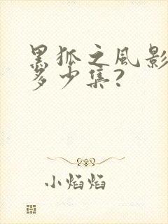 黑狐之风影一共多少集?