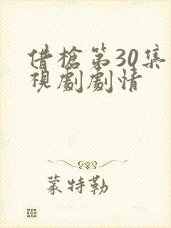 借枪第30集电视剧剧情