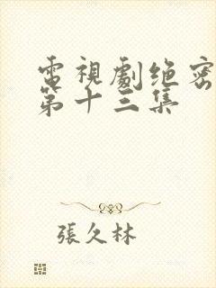 电视剧绝密较量第十三集