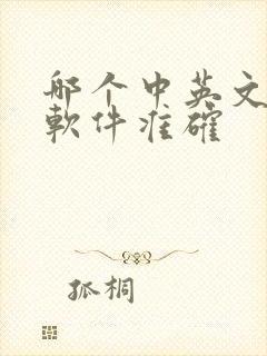 哪个中英文翻译软件准确