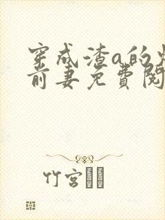 穿成渣a的炮灰前妻免费阅读