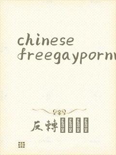 chinesefreegaypornvideo