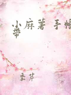 小麻薯 手帐胶带