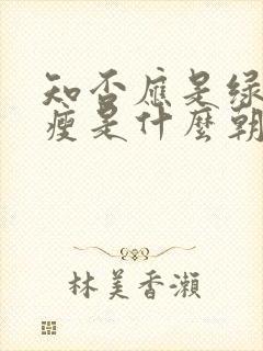 知否应是绿肥红瘦是什么朝代