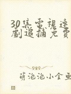 30集电视连续剧追捕免费观看